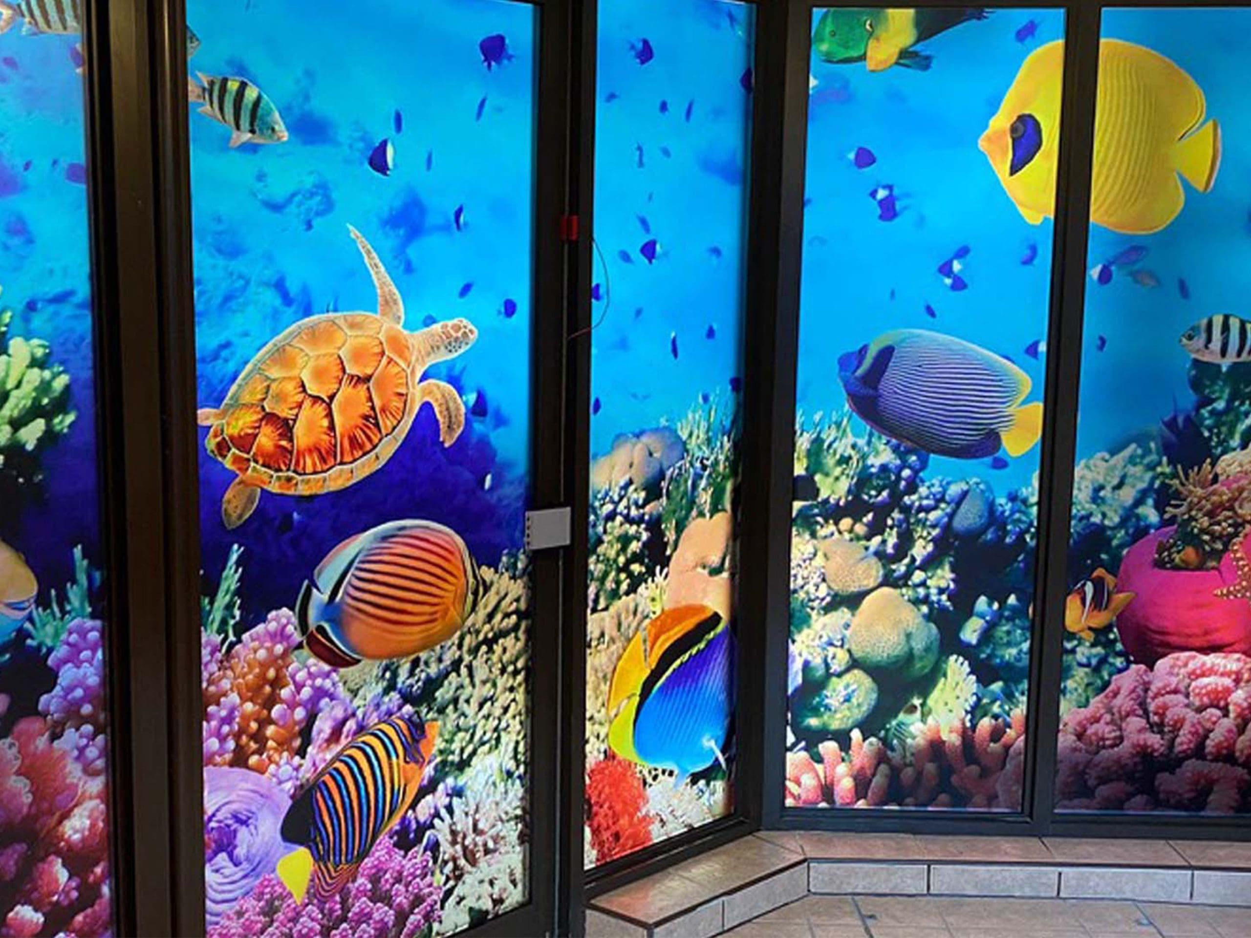 pennhall-reef-pool-wall-creative-corridors